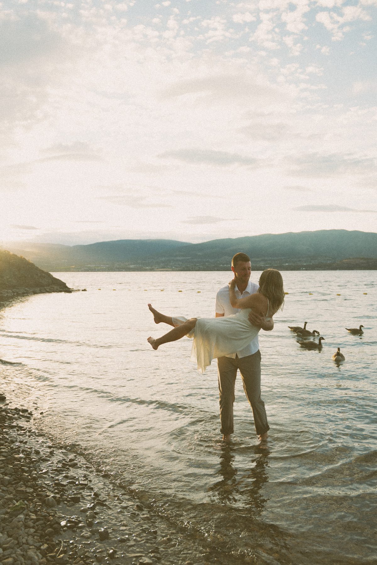 He carries her into the shallows of Okanagan Lake at sunset as a line of Canada geese swims past