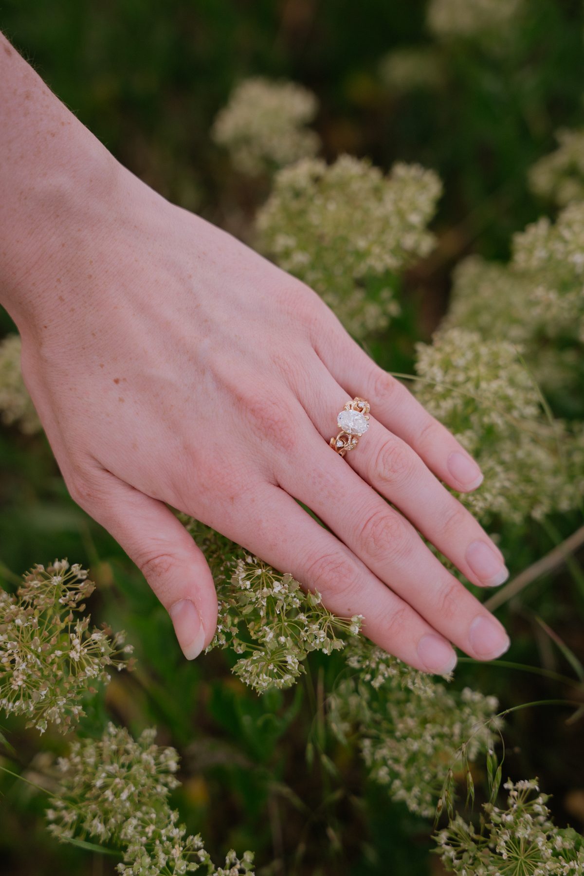Her hand resting on wild yarrow, an oval engagement ring in a gold setting