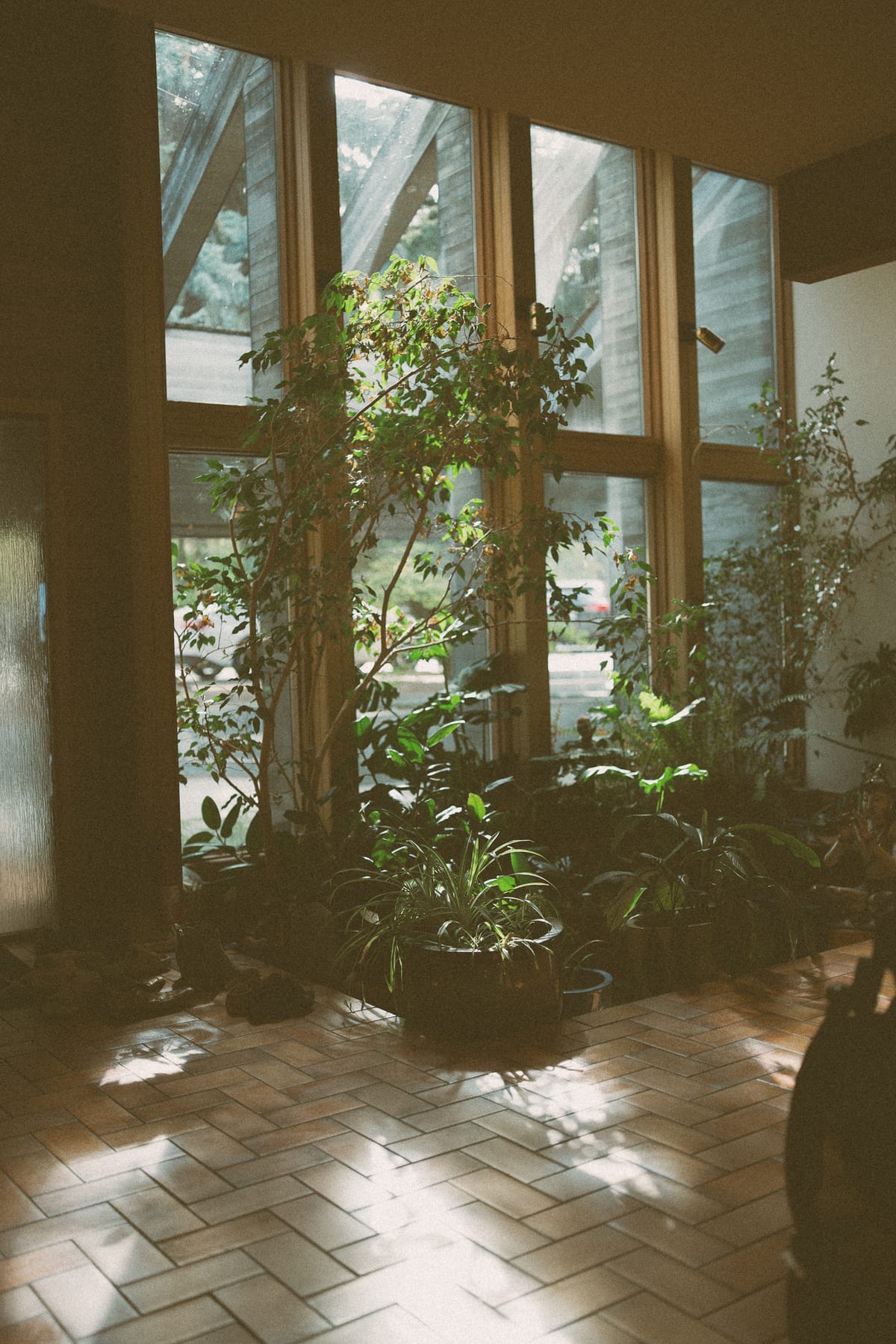 The sunlit glass atrium filled with plants over a terracotta herringbone floor